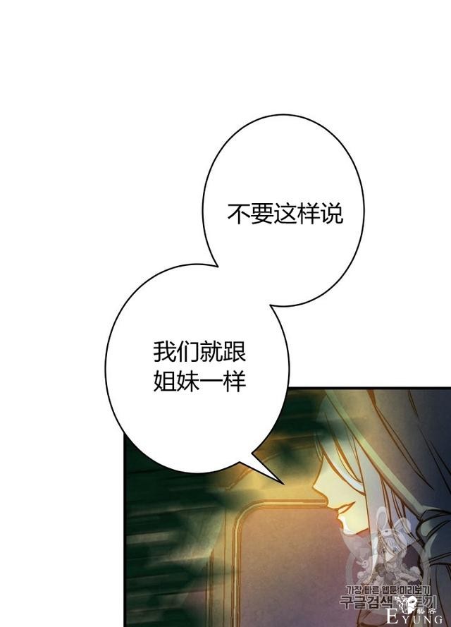 漫画：韩漫-影子皇妃8-54.jpg