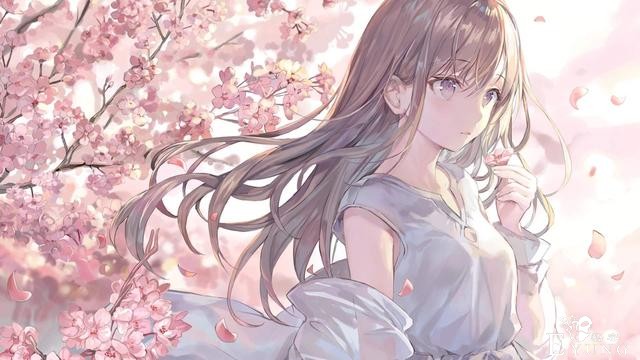 A站、B站、P站、某花，这几个网站现在对于漫迷来说必不可少-5.jpg