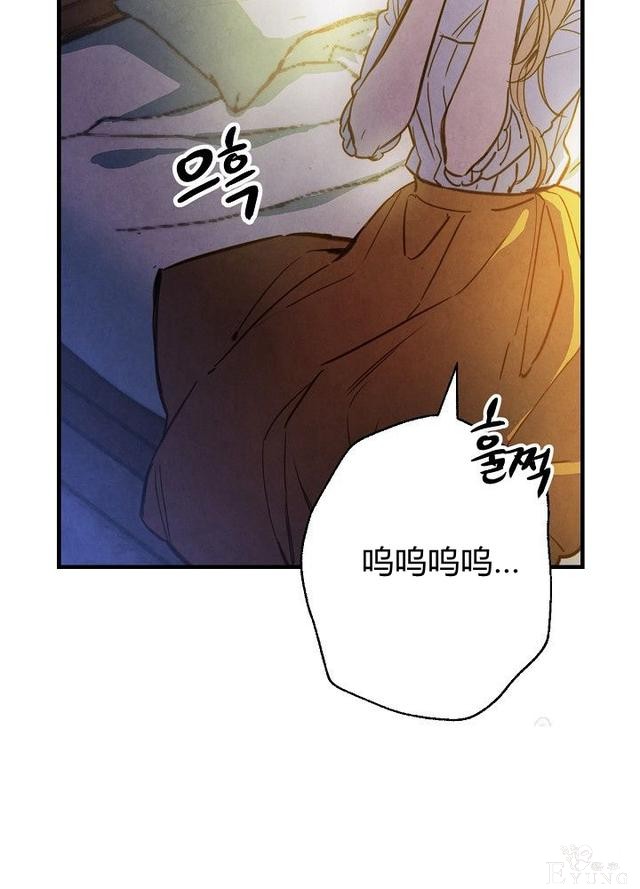 漫画：韩漫-影子皇妃9-71.jpg