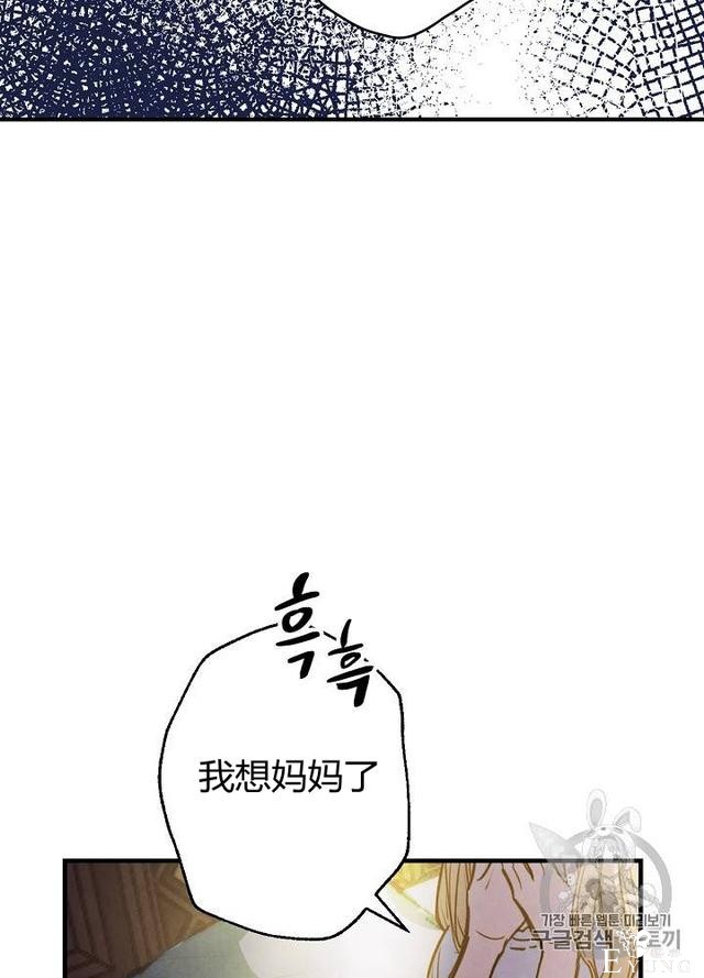 漫画：韩漫-影子皇妃9-70.jpg