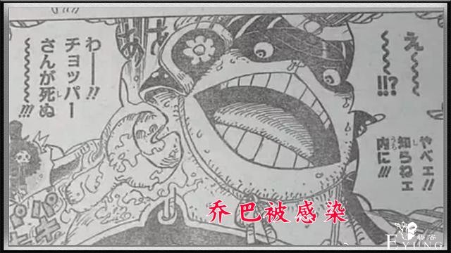 海贼王995话日文情报：乌索普遭受重击头骨裂开，娜美重伤倒地-4.jpg