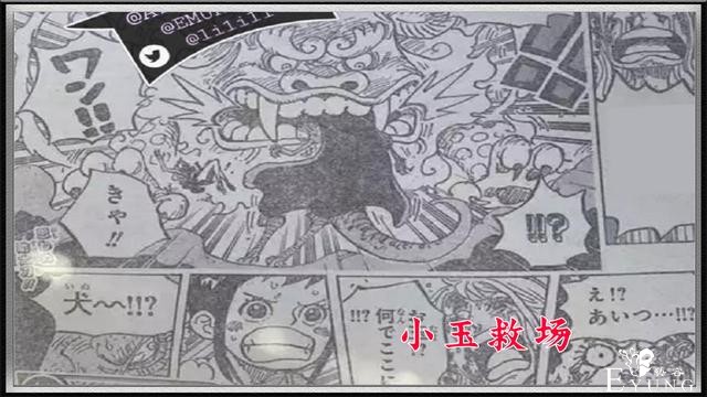 海贼王995话日文情报：乌索普遭受重击头骨裂开，娜美重伤倒地-8.jpg
