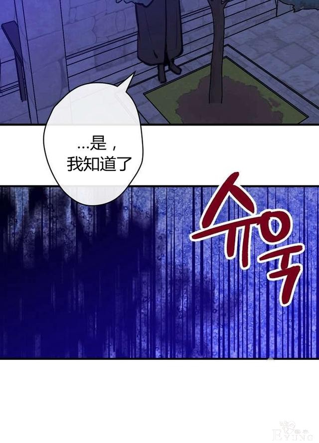 漫画：韩漫-影子皇妃10-38.jpg