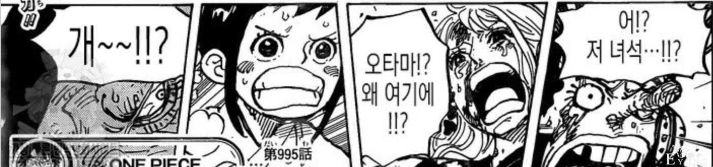 海贼王995话韩文版：乔巴感染，乌索普头骨裂开，娜美重伤倒地-7.jpg