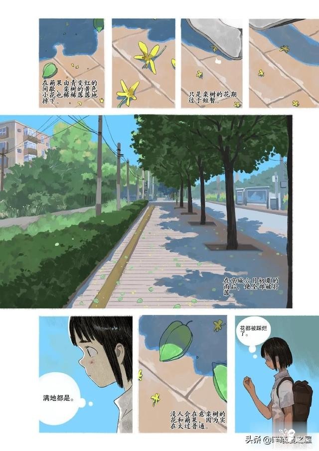 「故事漫」栾树的种子-3.jpg