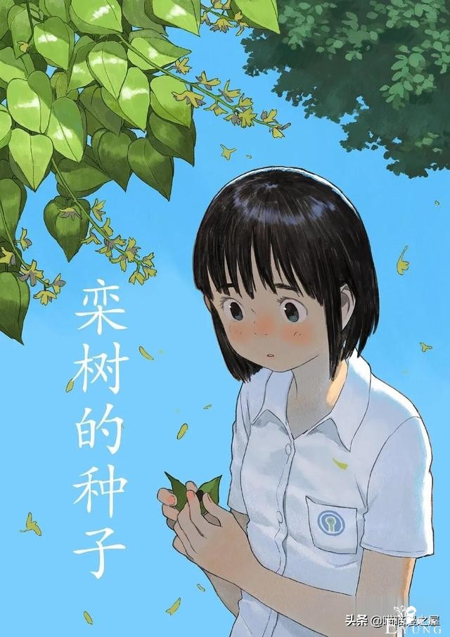 「故事漫」栾树的种子-1.jpg