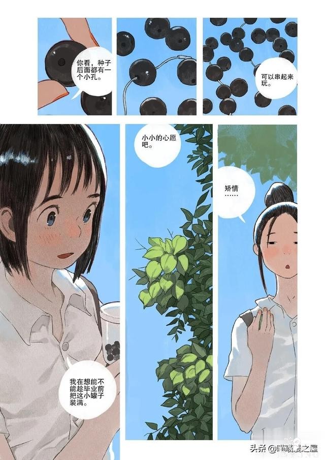 「故事漫」栾树的种子-5.jpg