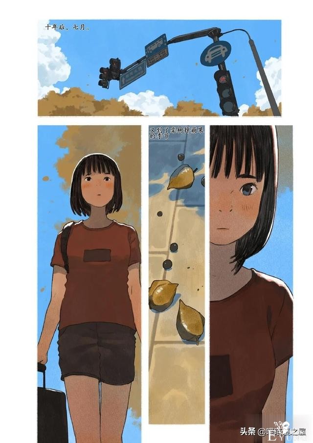 「故事漫」栾树的种子-8.jpg