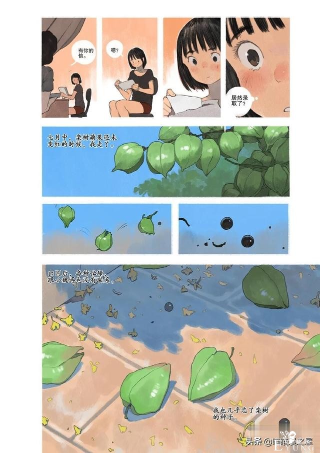 「故事漫」栾树的种子-7.jpg