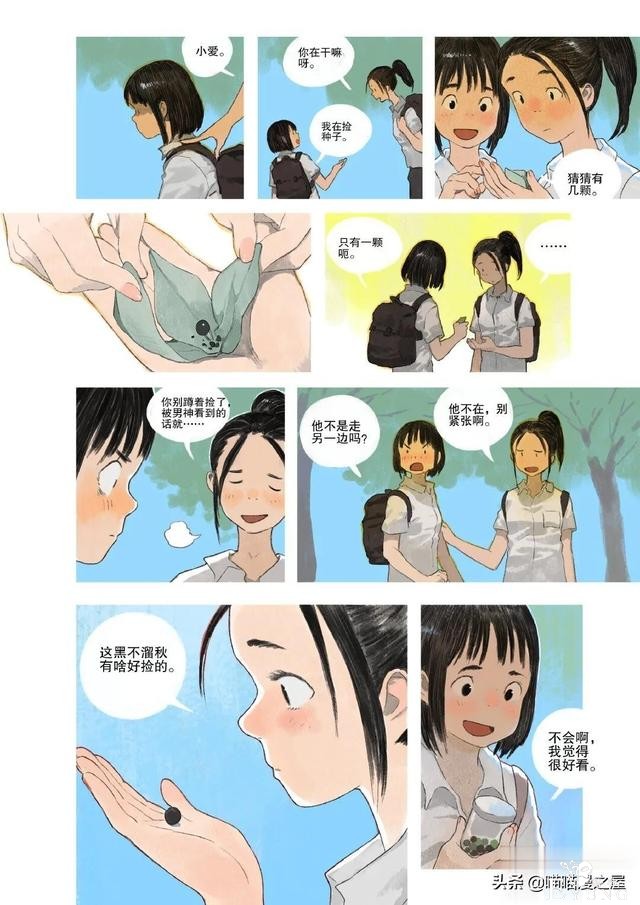 「故事漫」栾树的种子-4.jpg