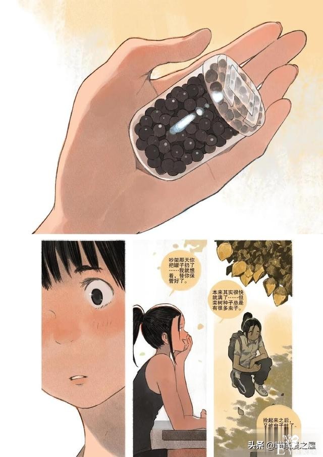 「故事漫」栾树的种子-14.jpg