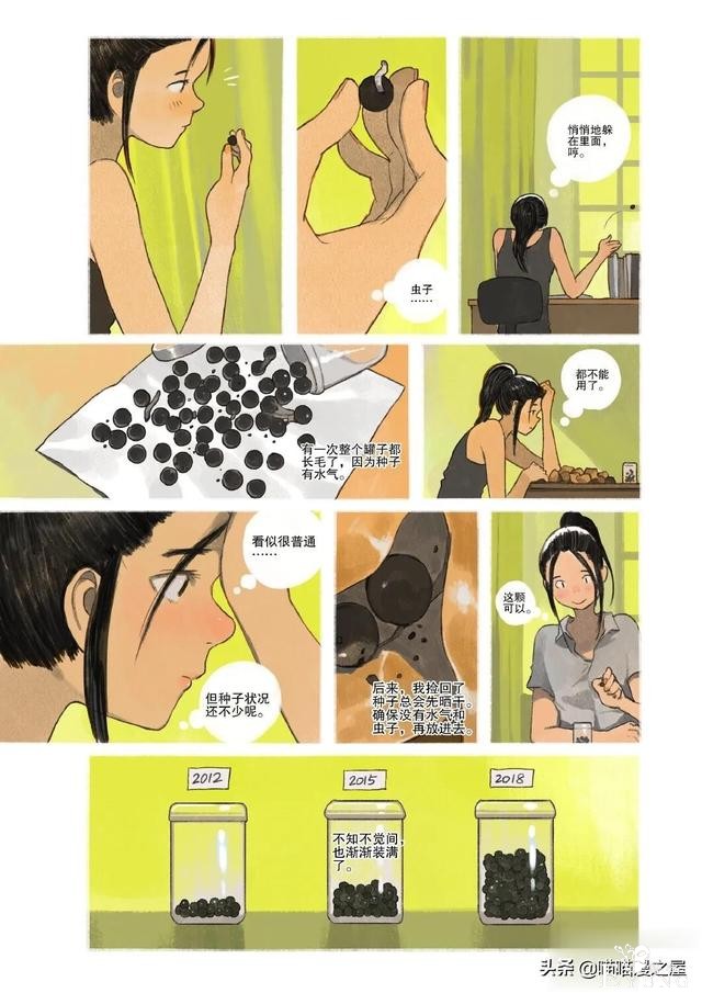 「故事漫」栾树的种子-15.jpg