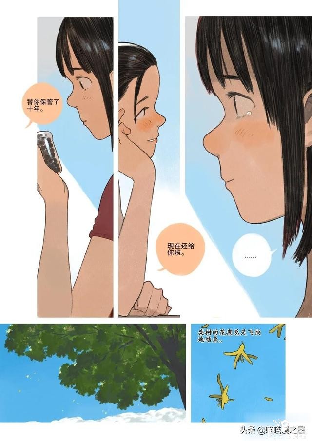 「故事漫」栾树的种子-16.jpg