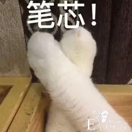 海棠利用小八爷向少女妈和姚会计施压，从而离开风先生！-1.jpg