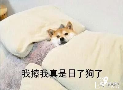 海棠利用小八爷向少女妈和姚会计施压，从而离开风先生！-8.jpg
