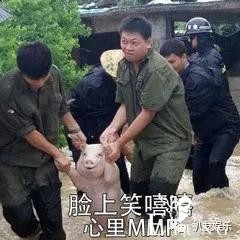 海棠被少女妈算计，以及被大花九儿和厂花算计的内幕？-7.jpg