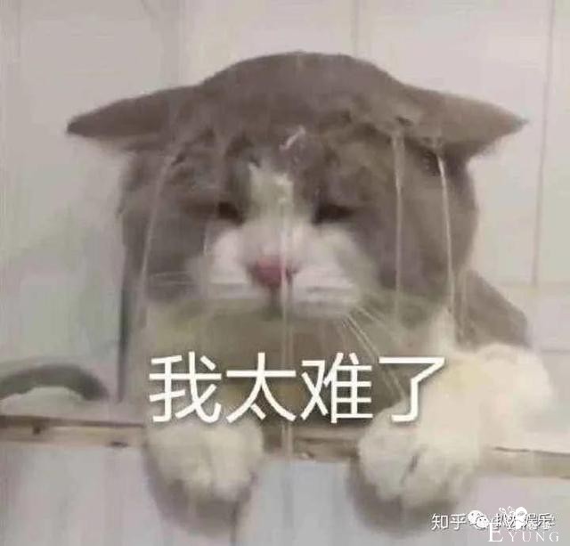 海棠被少女妈算计，以及被大花九儿和厂花算计的内幕？-11.jpg