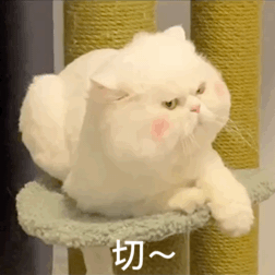 海棠被少女妈算计，以及被大花九儿和厂花算计的内幕？-22.jpg