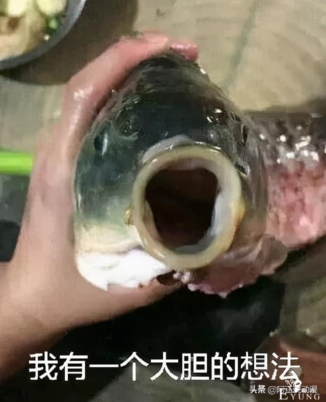 日本新生儿取名趋势受《鬼灭之刃》影响｜ACGN趣闻-19.jpg