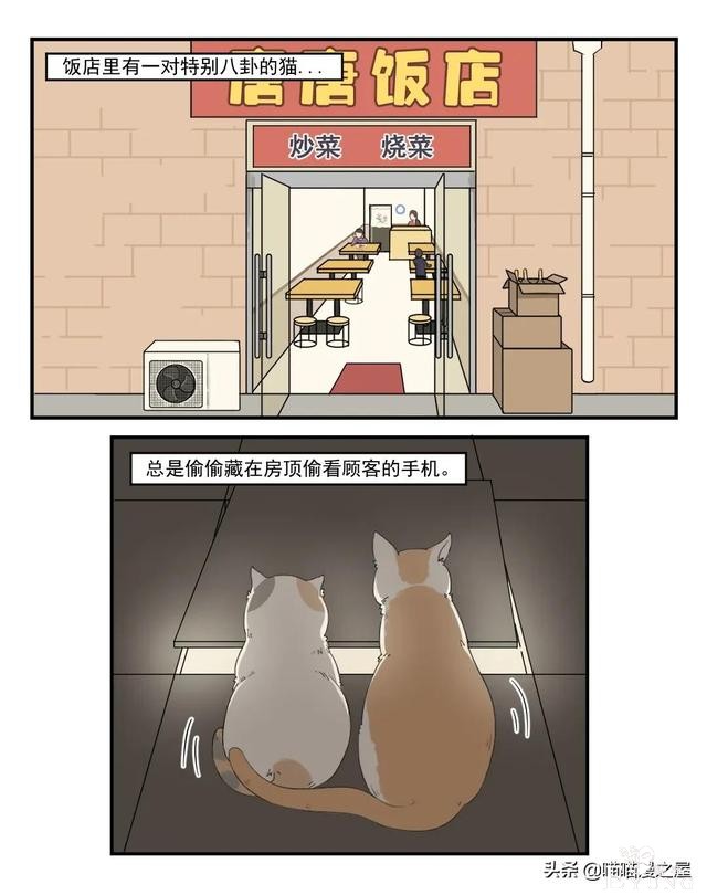 漫画故事：八卦的猫-1.jpg