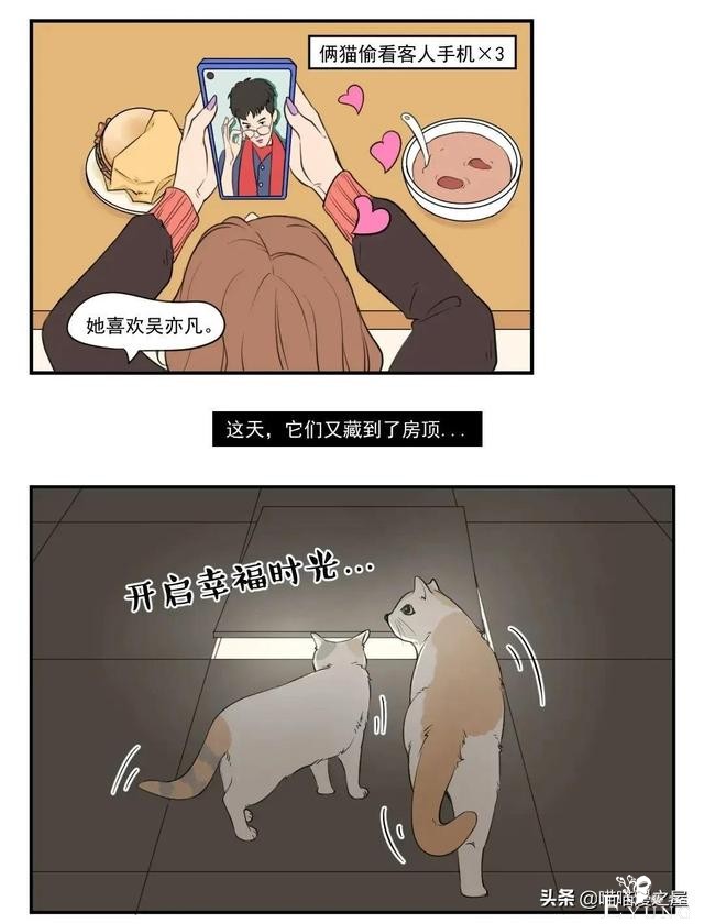 漫画故事：八卦的猫-3.jpg