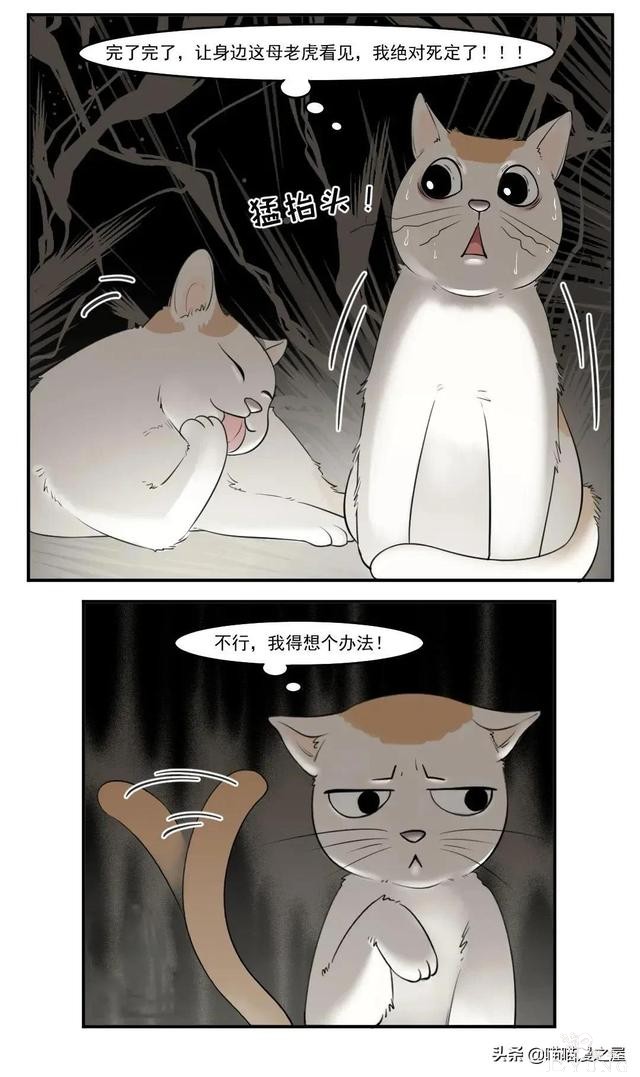 漫画故事：八卦的猫-5.jpg