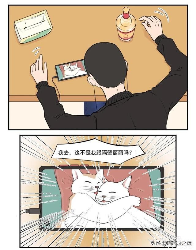 漫画故事：八卦的猫-4.jpg