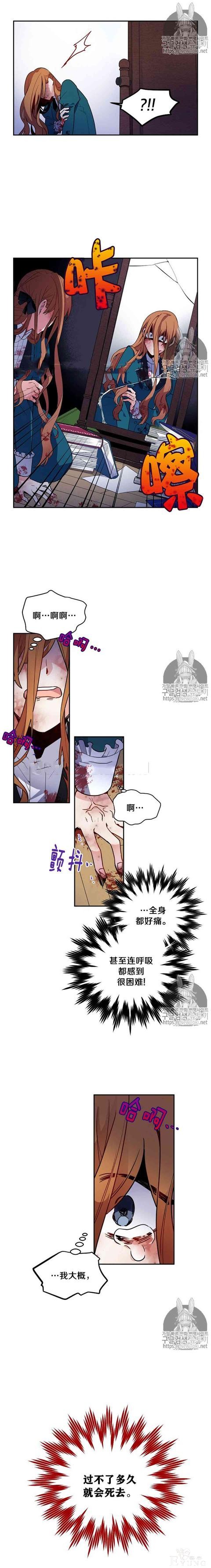 漫画：韩漫-透明的公爵夫人 2-2.jpg