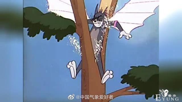 《猫和老鼠》无处不在！东北再现汤姆的“裤裆劈树”-2.jpg
