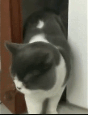 《猫和老鼠》无处不在！东北再现汤姆的“裤裆劈树”-8.jpg