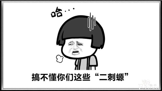 “二刺螈”、“二次猿”，贬义化的二次元，让人越来越不敢承认-4.jpg