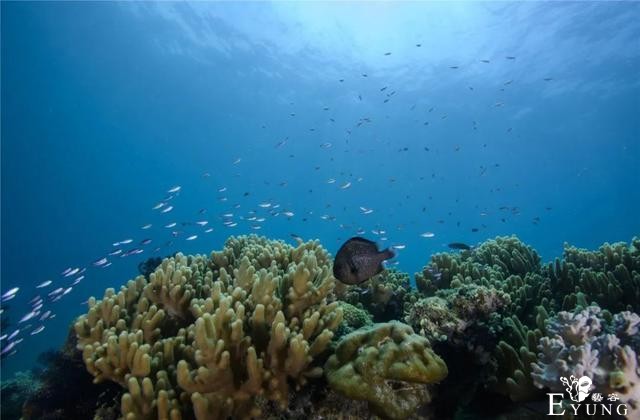 玩high海棠湾，这些综艺取景地你都知道吗？-12.jpg