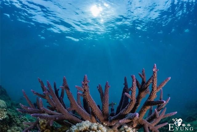 玩high海棠湾，这些综艺取景地你都知道吗？-13.jpg