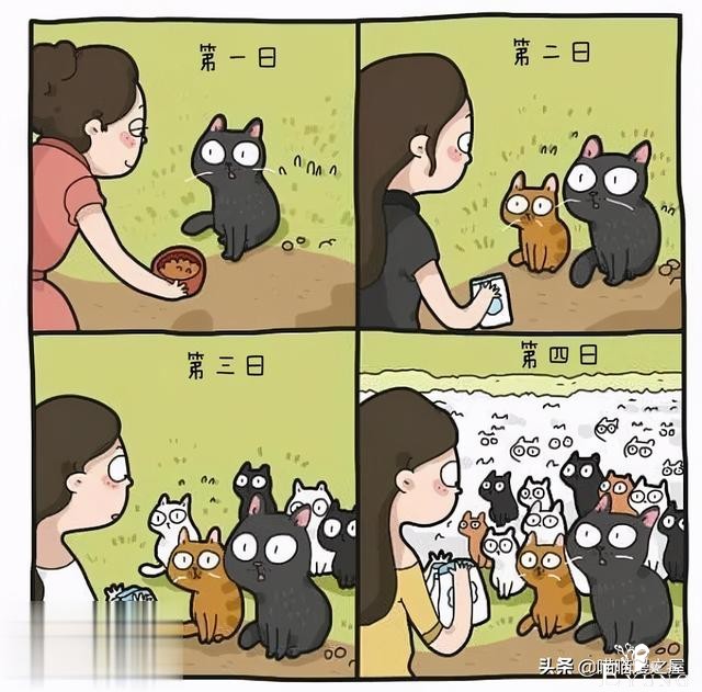 短漫：每个好女孩都会嫁给王子吗-3.jpg