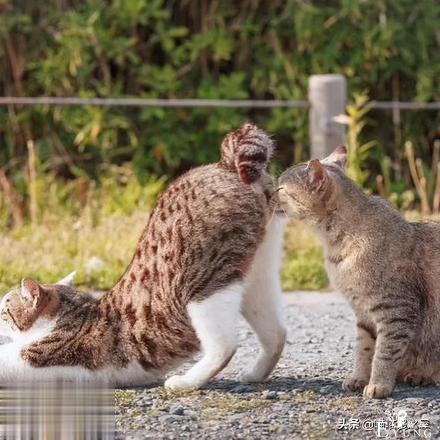 短漫：每个好女孩都会嫁给王子吗-2.jpg