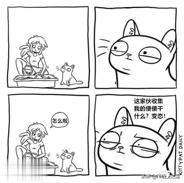 短漫：每个好女孩都会嫁给王子吗-16.jpg