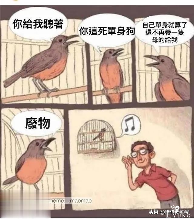 短漫：每个好女孩都会嫁给王子吗-15.jpg