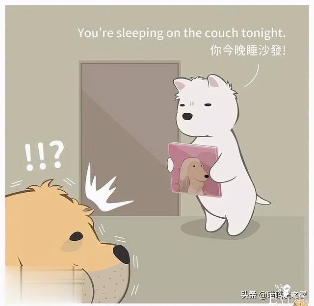 短漫：每个好女孩都会嫁给王子吗-22.jpg