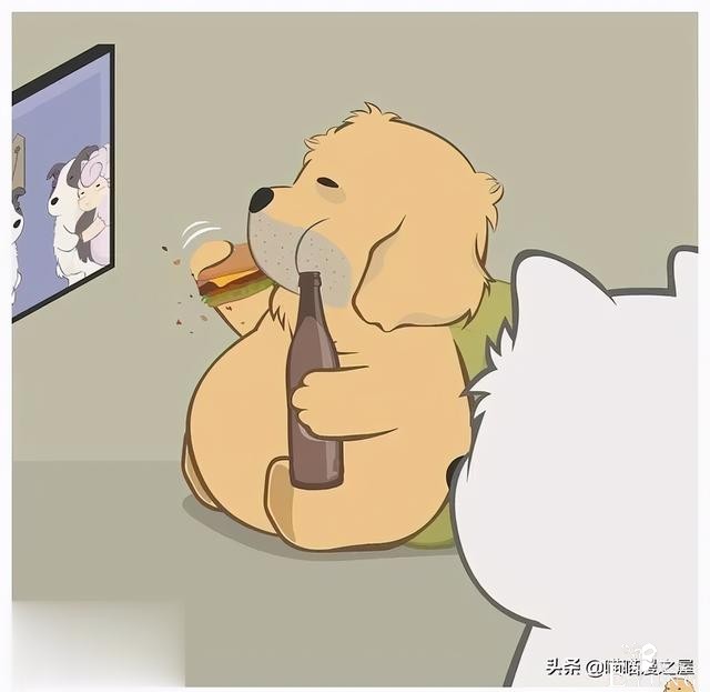 短漫：每个好女孩都会嫁给王子吗-20.jpg