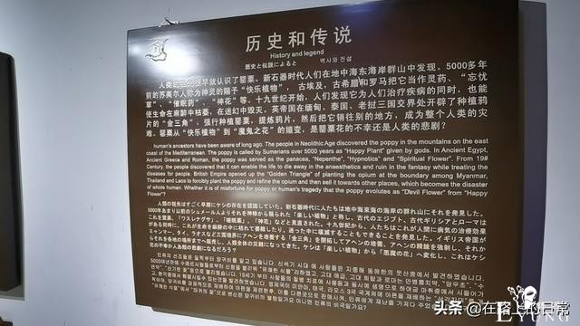 实拍古代的青楼妓院，鸦片烟馆，陕西青木川古镇最后的畸形繁荣-15.jpg