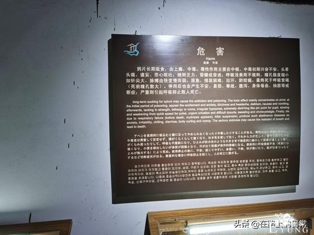 实拍古代的青楼妓院，鸦片烟馆，陕西青木川古镇最后的畸形繁荣-18.jpg
