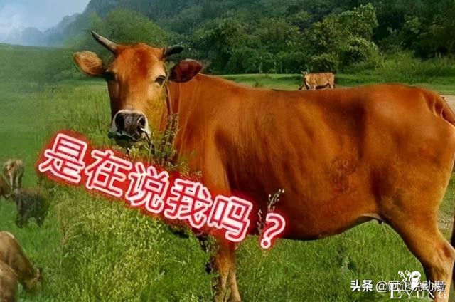 沙特土豪拳皇粉掷2000亿买下拳皇公司｜ACGN新闻-9.jpg