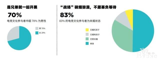二次元 国风 电竞 街头…2020青年文化热点全洞察-12.jpg