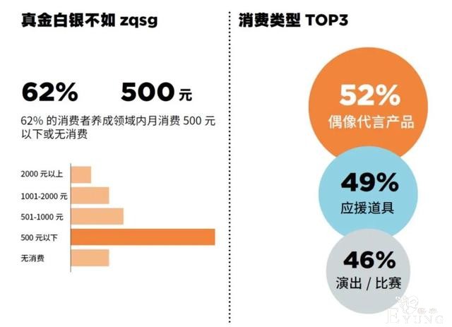 二次元 国风 电竞 街头…2020青年文化热点全洞察-25.jpg