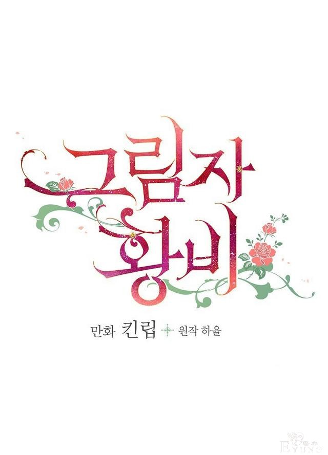 漫画：韩漫-影子皇妃17-24.jpg
