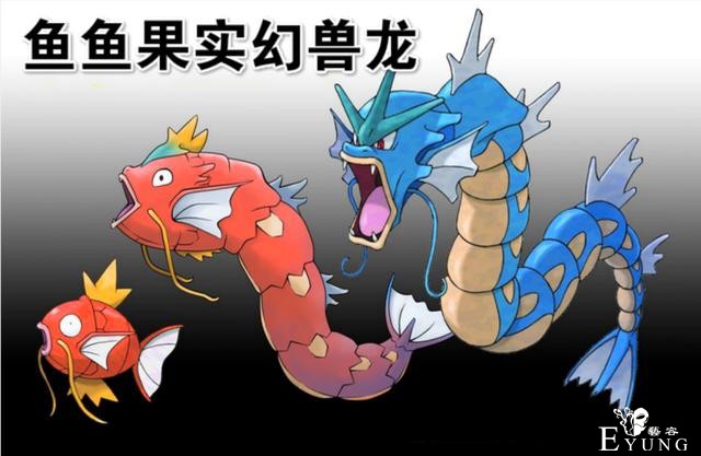 四皇凯多果实类别揭晓，鱼鱼果实幻兽龙，海贼王“第一”幻兽果实-2.jpg