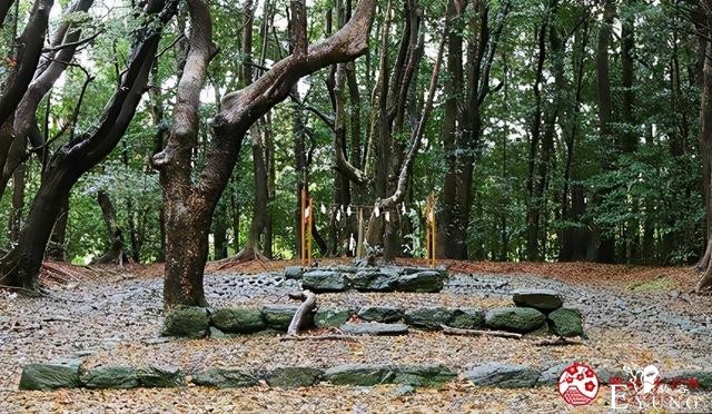 福冈自由行：到「宗像市」参拜世界遗产神社、品尝稀有海产美食-5.jpg