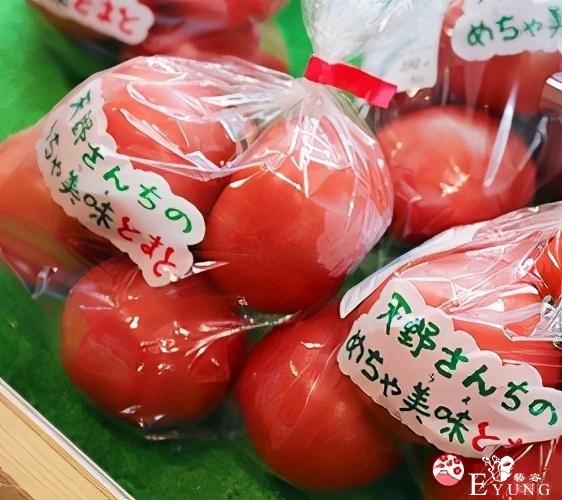 福冈自由行：到「宗像市」参拜世界遗产神社、品尝稀有海产美食-12.jpg