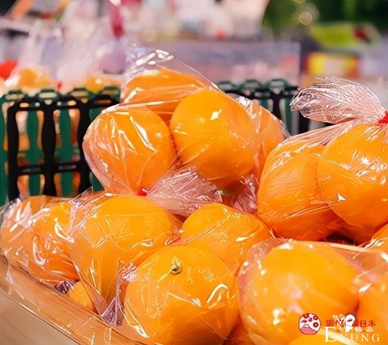 福冈自由行：到「宗像市」参拜世界遗产神社、品尝稀有海产美食-11.jpg