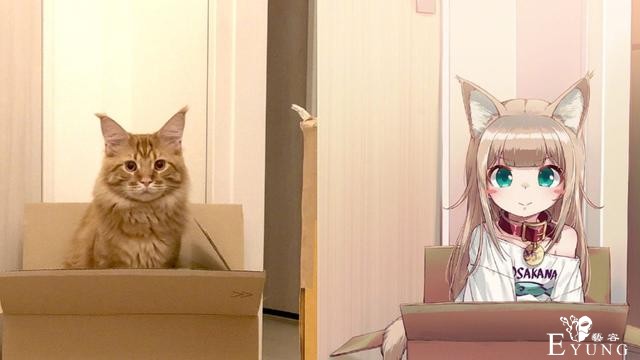 管ta是猫是狗，变了就行，快！给我变-1.jpg